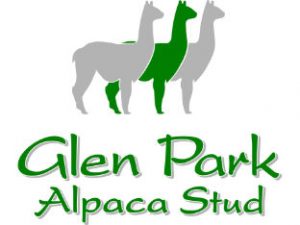 Glen Park Alpaca Stud