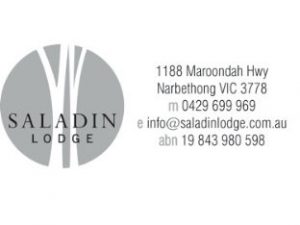 Saladin Lodge Logo